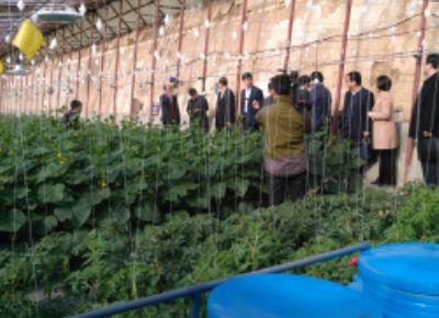 点击查看详细信息<br>标题：在温室内进行拍摄 阅读次数：2241